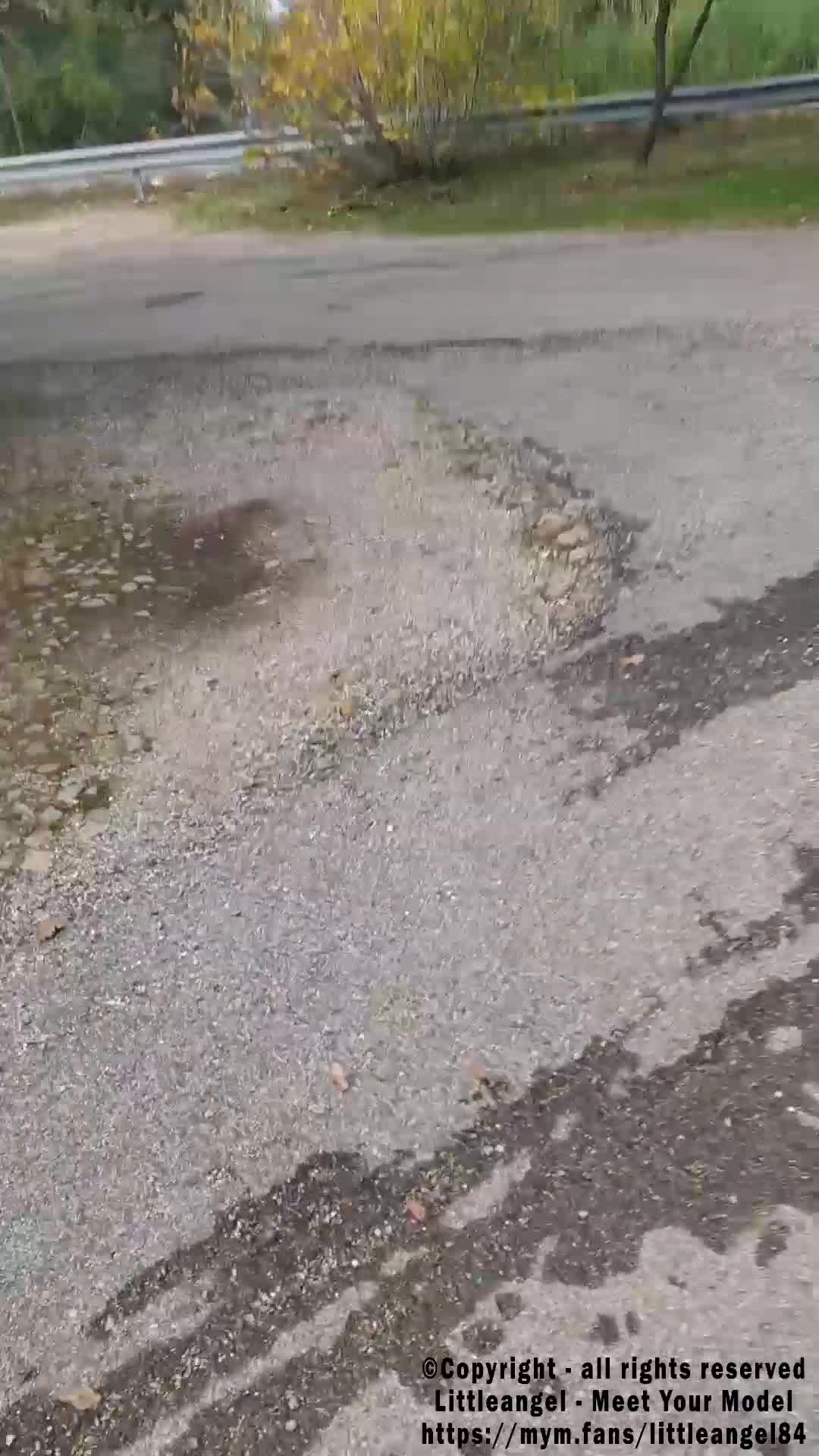 LittleAngel deja a un desconocido sin un pelo en el borde de la autopista